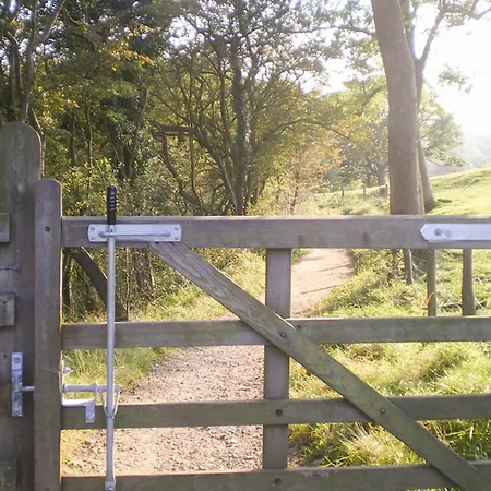Mallard Grosmont (North Yorkshire)